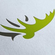 Logo en huisstijl voor Landgoed het Lankheet